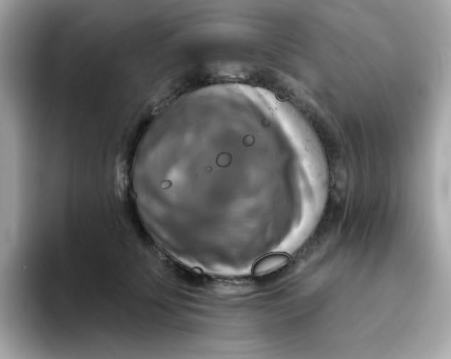 X0000094790707200711301606