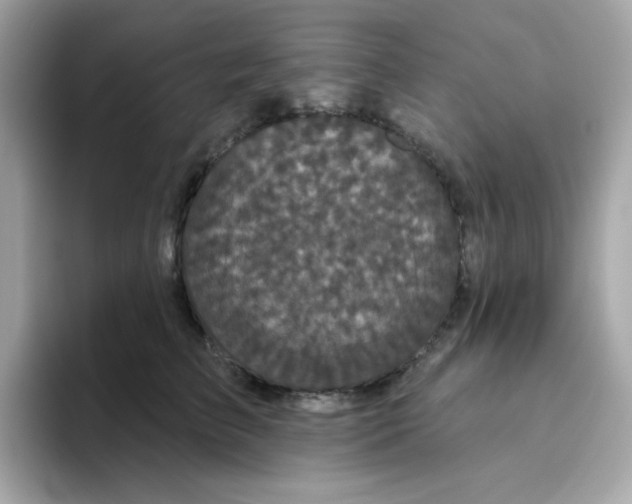 X0000094790709200711301606