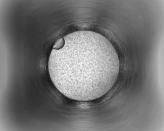 X0000094790710200711301606