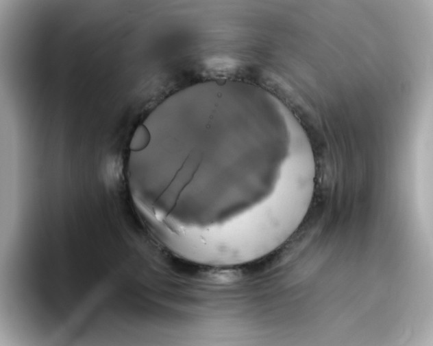 X0000094790711200711301606