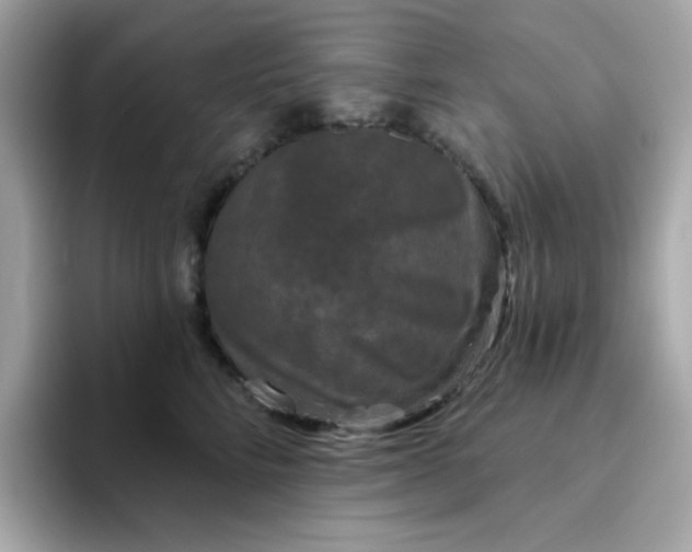 X0000094790712200711301606