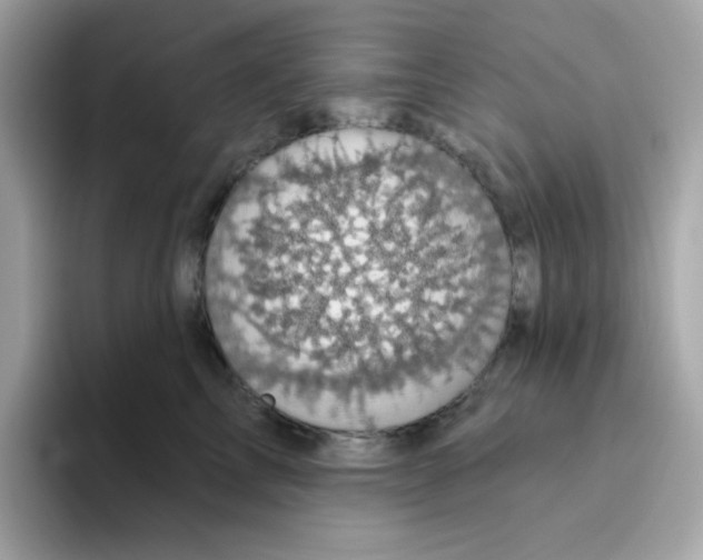 X0000094790713200711301606