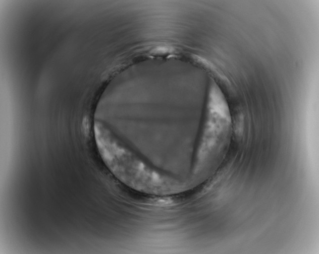 X0000094790715200711301606