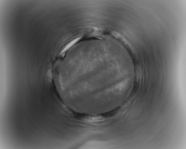 X0000094790716200711301606