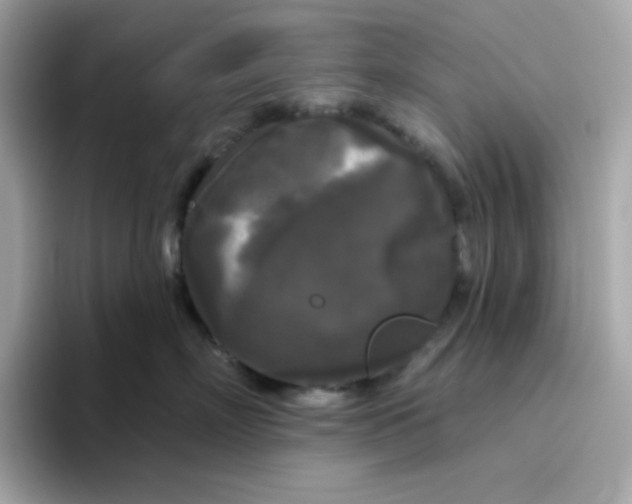 X0000094790718200711301606