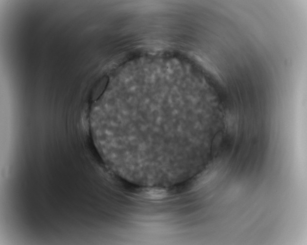 X0000094790719200711301606