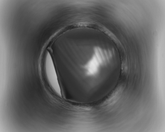 X0000094790722200711301605