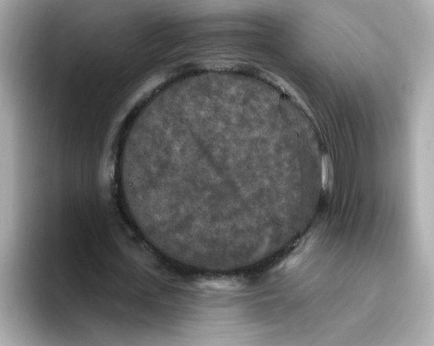 X0000094790723200711301605