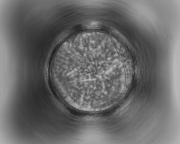 X0000094790725200711301605