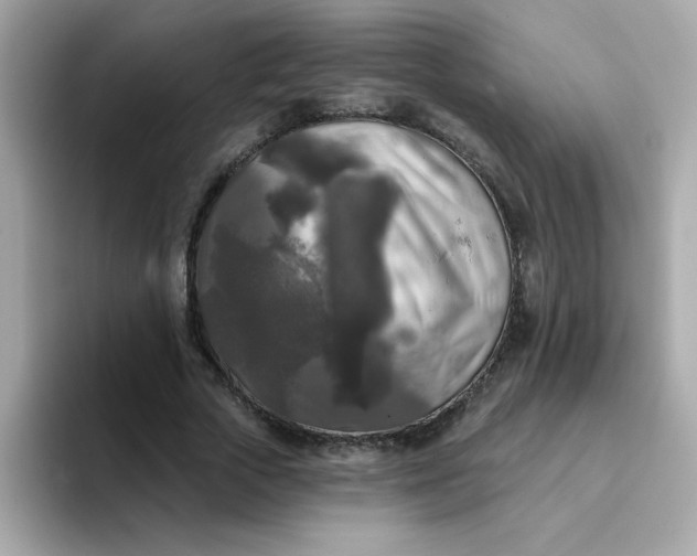 X0000094790729200711301606