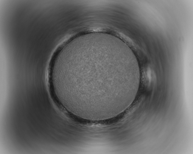 X0000094790730200711301606