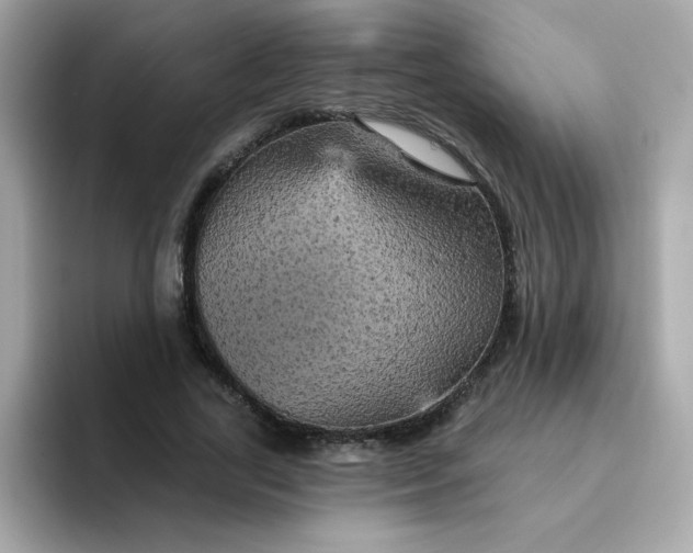 X0000094790731200711301606