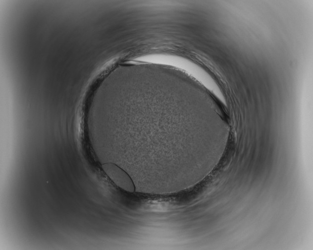 X0000094790732200711301606