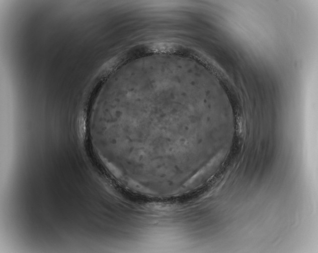 X0000094790733200711301606