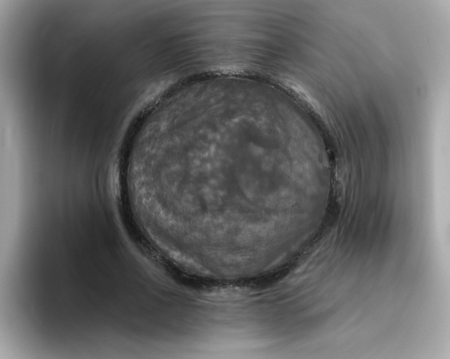 X0000094790734200711301606