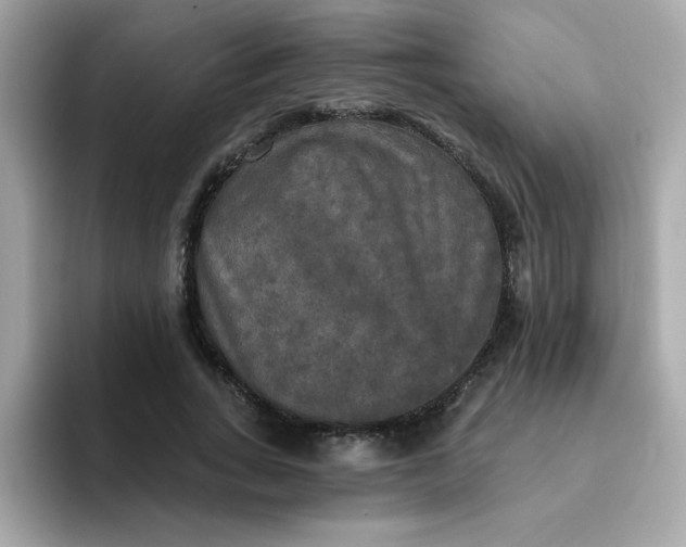 X0000094790735200711301606