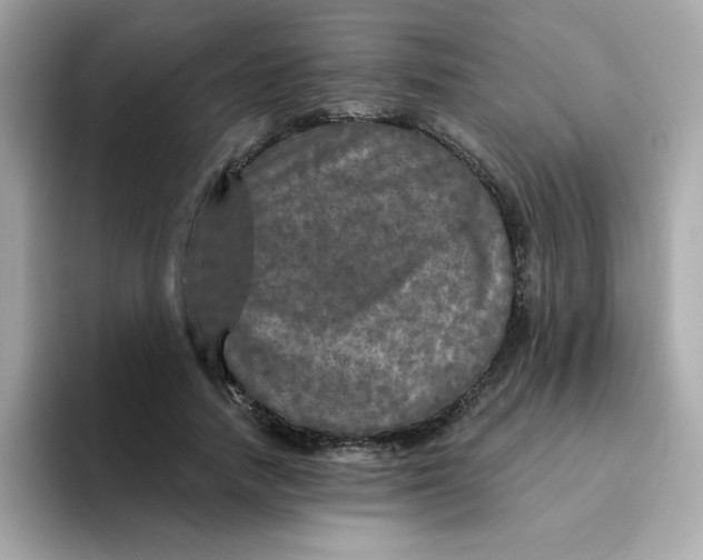 X0000094790738200711301606