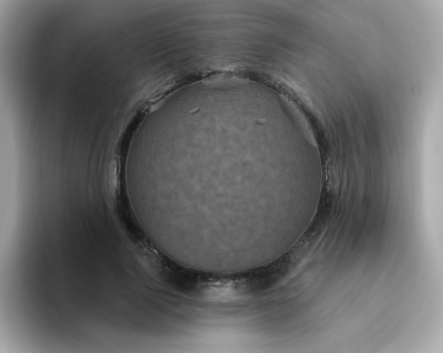 X0000094790740200711301606