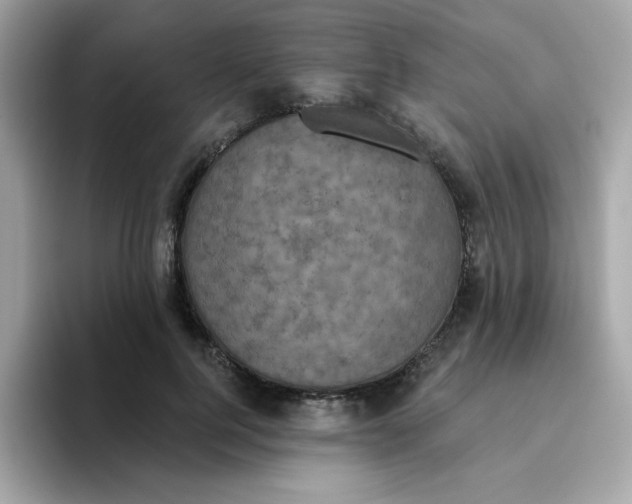 X0000094790744200711301606