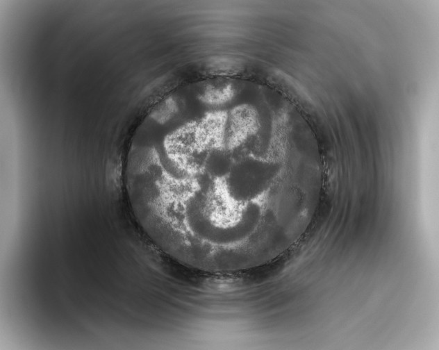 X0000094790745200711301606