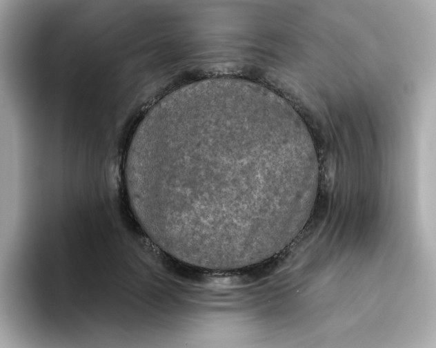 X0000094790746200711301606