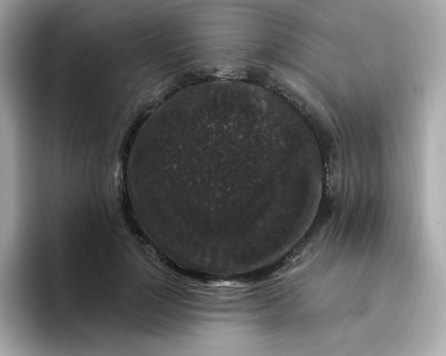 X0000094790748200711301606