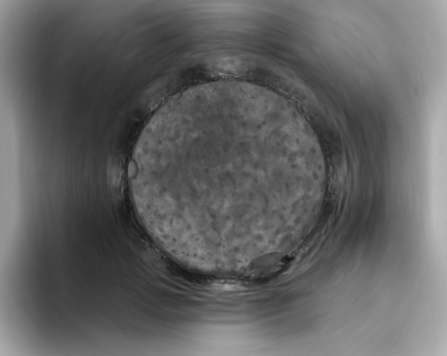 X0000094790749200711301606