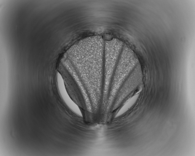 X0000094790750200711301606