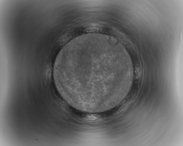 X0000094790753200711301606