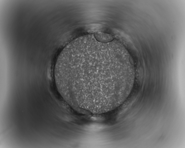 X0000094790755200711301606