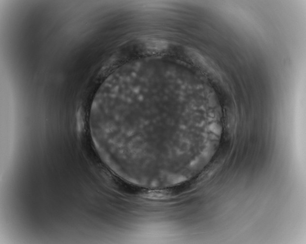 X0000094790758200711301606