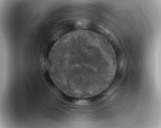 X0000094790759200711301606