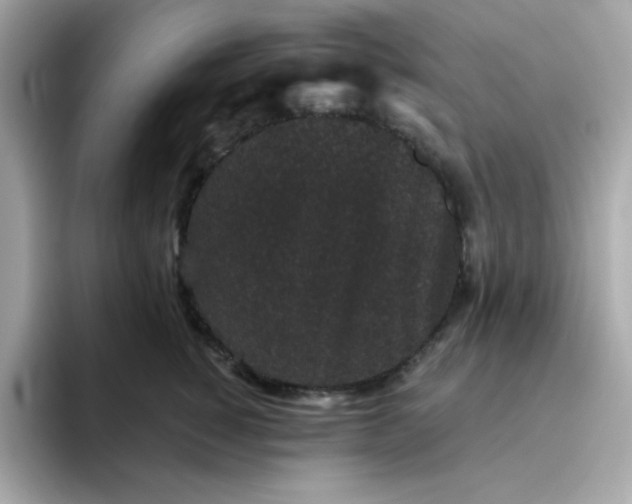 X0000094790760200711301606