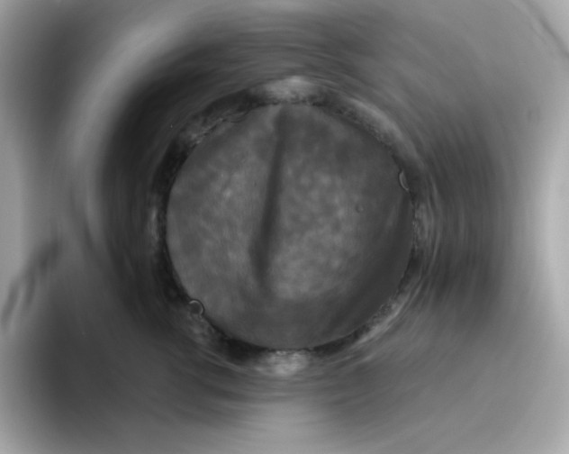 X0000094790762200711301606