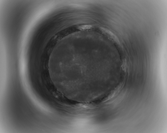 X0000094790763200711301606