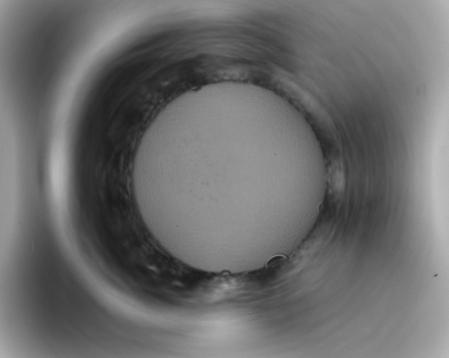 X0000094790764200711301606