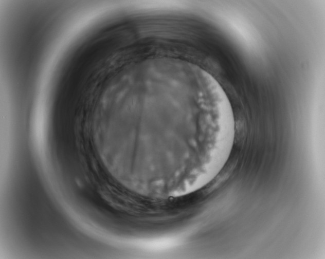 X0000094790765200711301606