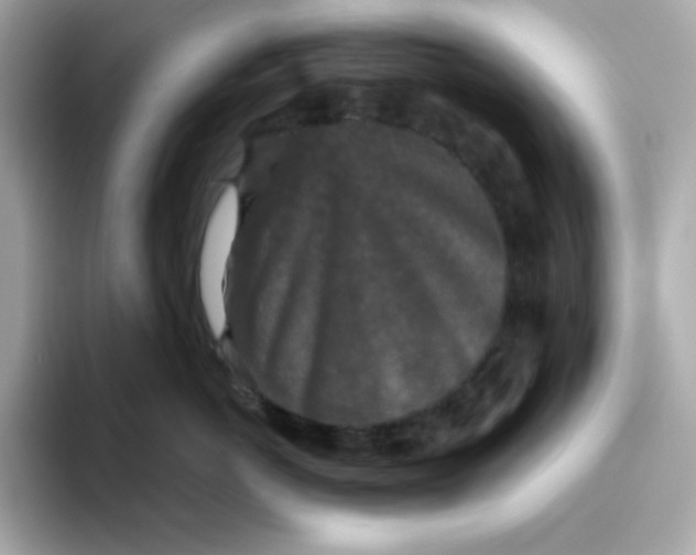 X0000094790766200711301606