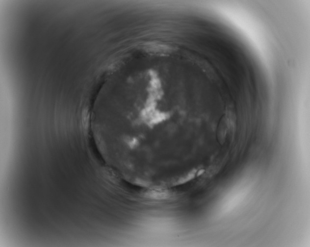 X0000094790767200711301606