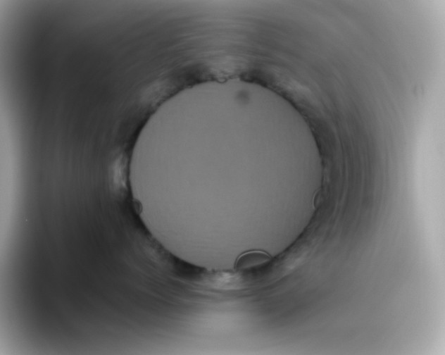 X0000094790768200711301606