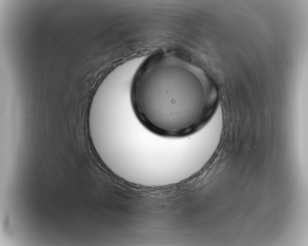 X0000094790769200711301605