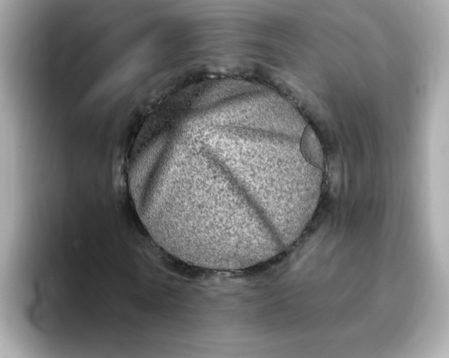 X0000094790770200711301605