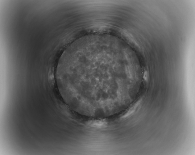 X0000094790771200711301605