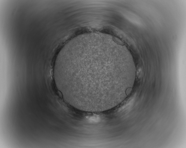 X0000094790772200711301605