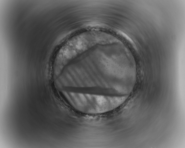 X0000094790775200711301605