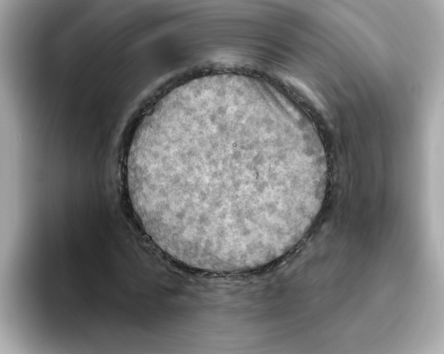 X0000094790776200711301605