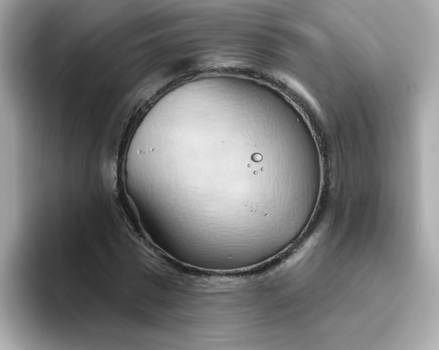 X0000094790777200711301605