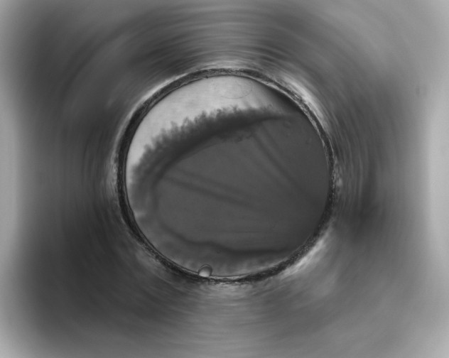 X0000094790779200711301605