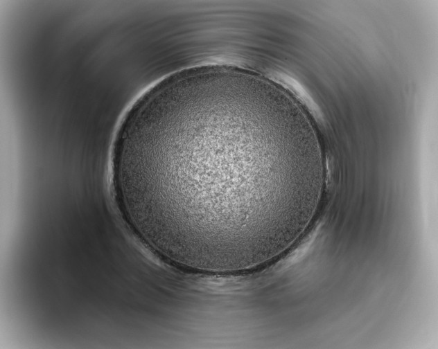 X0000094790780200711301605