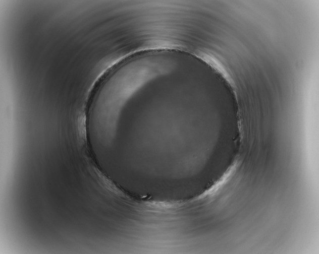 X0000094790781200711301605